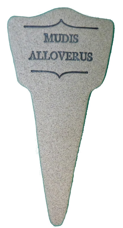 Mudis Alloverus - Amaranth Stoneware Canada