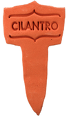 Cilantro - Amaranth Stoneware Canada