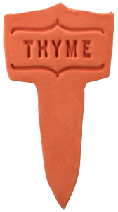 Thyme - Amaranth Stoneware Canada
