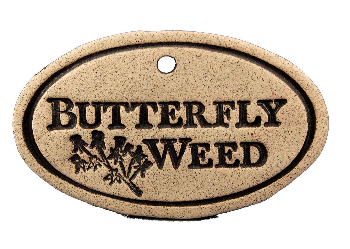 Butterfly Weed - Amaranth Stoneware Canada