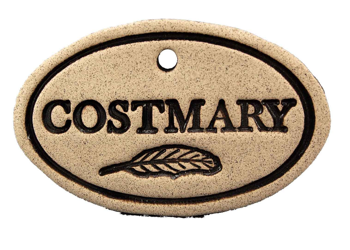 Costmary - Amaranth Stoneware Canada