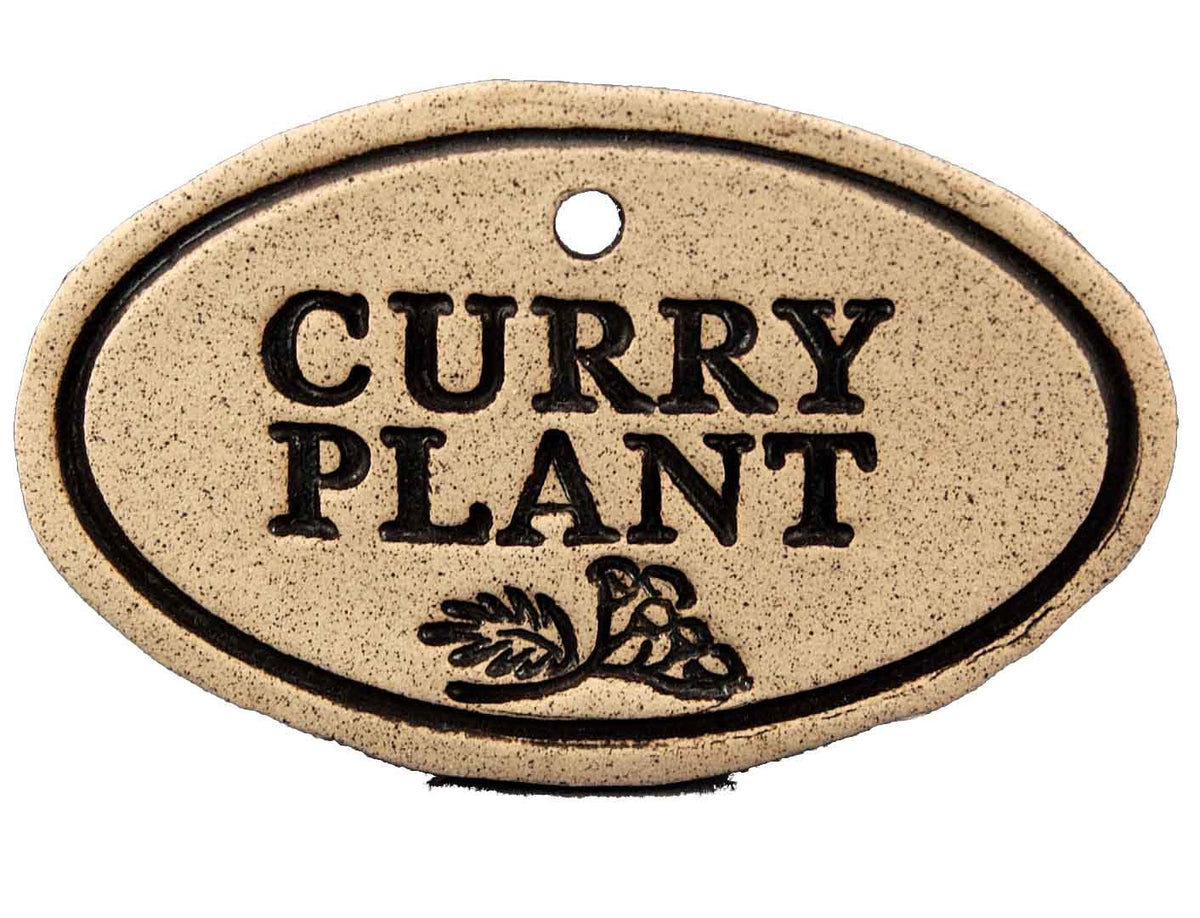 Curry Plant - Amaranth Stoneware Canada