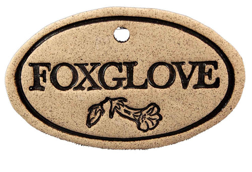 Foxglove - Amaranth Stoneware Canada