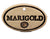 Marigold - Amaranth Stoneware Canada