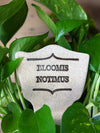 Bloomis Notimus - Amaranth Stoneware Canada