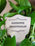 Gardenitis Uncontrollus - Amaranth Stoneware Canada