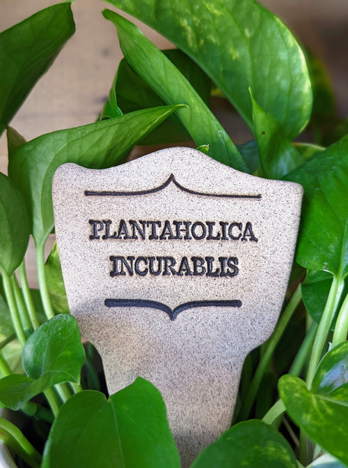 Plantaholica Incurablis - Amaranth Stoneware Canada