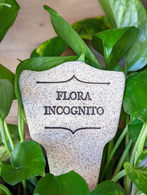 Flora Incognito - Amaranth Stoneware Canada