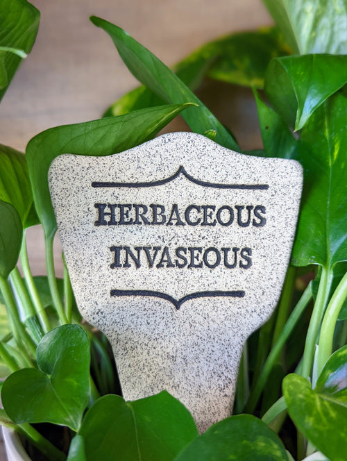 Herbaceous Invaseous