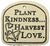 Plant Kindness... Harvest Love. - Amaranth Stoneware Canada