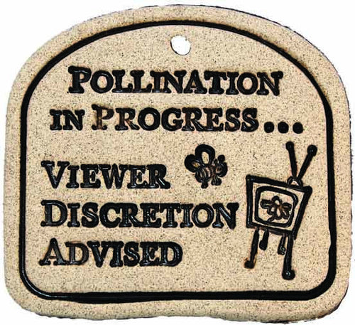 Pollination In Progress... Viewer Discretion Advised - Amaranth Stoneware Canada