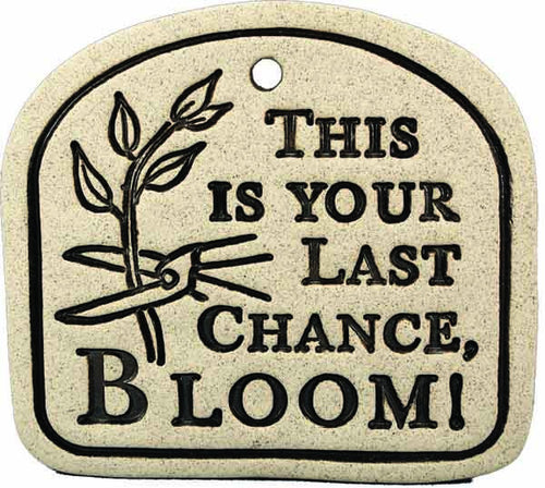 This Is Your Last Chance, Bloom! - Amaranth Stoneware Canada