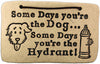 Some Days You're the Dog, - Amaranth Stoneware Canada