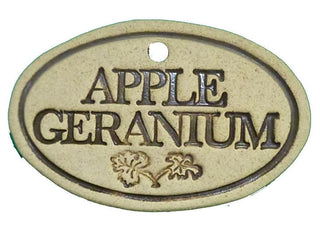 Apple Geranium - Amaranth Stoneware Canada