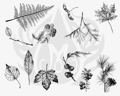 Botanical Leaves - Mayco Silkscreen DSS0111 - Amaranth Stoneware Canada