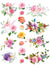 Flower - Full Colour - Overglaze Decal - Amaranth Stoneware Canada