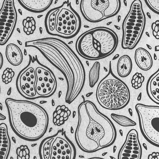Fruit - Underglaze Transfer Sheet by Elan Pottery