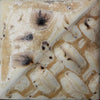 Sandstone by Mayco SW-176 - Amaranth Stoneware Canada